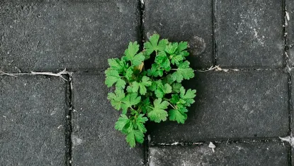 Casino Deposit Win Mobilna aplikacija